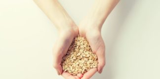 ¿Es saludable una dieta sin granos? Todo lo que necesitas saber Dieta libre de granos