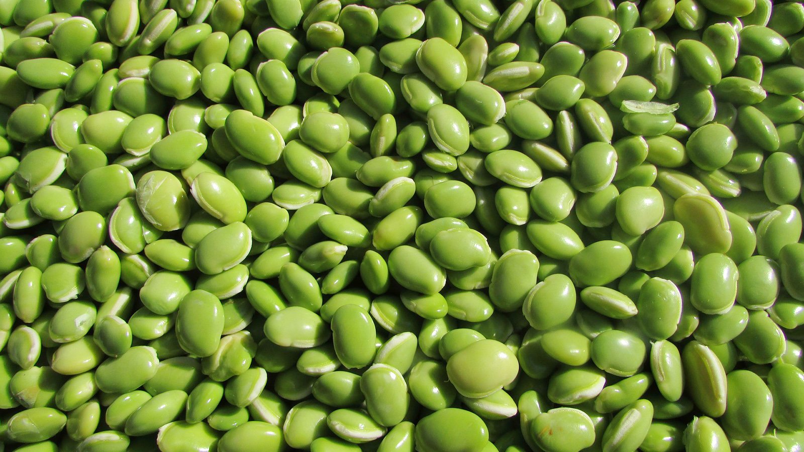 10 impresionantes beneficios de las habas