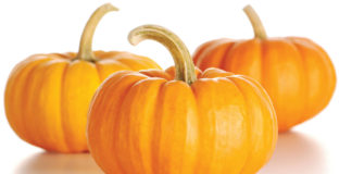 9 impresionantes beneficios para la salud de consumir calabaza
