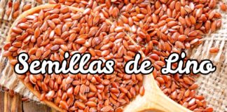 ¿Pueden las semillas de lino ayudarme a perder peso?