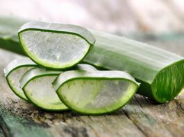 Algunos tratamientos con Aloe Vera que sirven para prevenir enfermedades some aloe vera treatments that help prevent disease