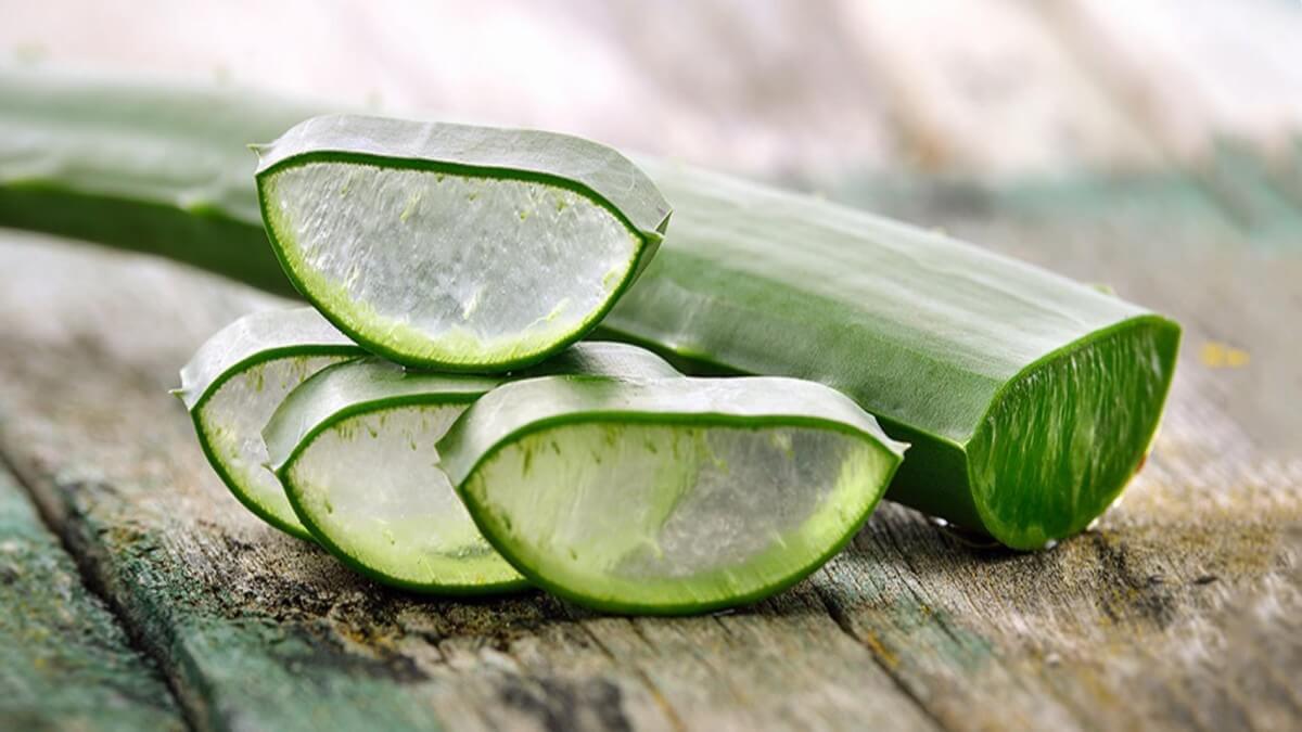Algunos tratamientos con Aloe Vera que sirven para prevenir enfermedades some aloe vera treatments that help prevent disease