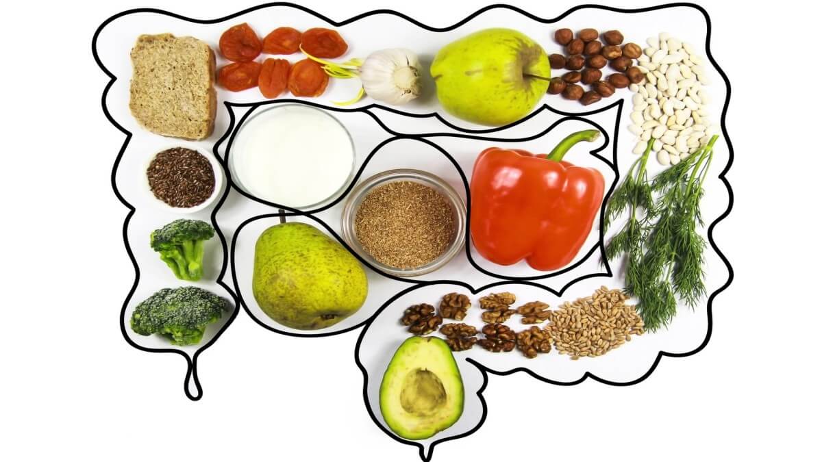Cuáles son los alimentos más saludables para mantener la flora intestinal o microbiota fuerte What are the healthiest foods to maintain strong intestinal flora or microbiota