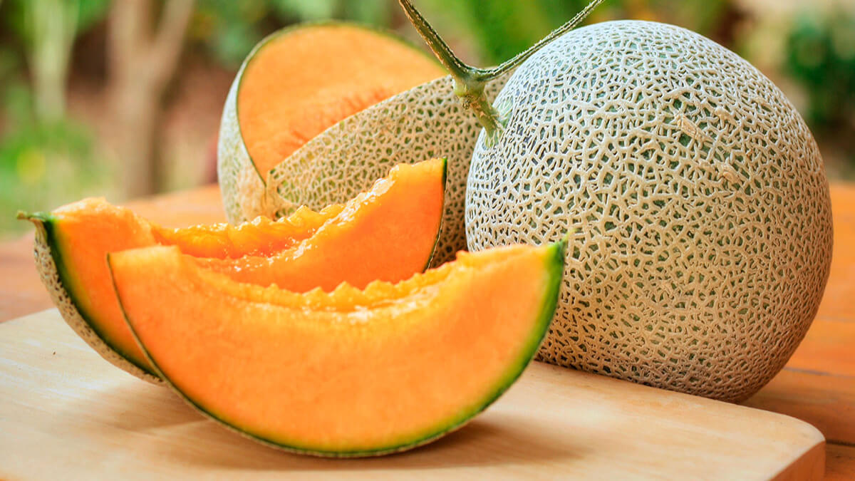 Información nutricional y beneficios que ofrece el melón para la salud Nutritional information and benefits offered by melon for health