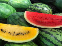 Información nutricional y beneficios que ofrece la sandia para la salud