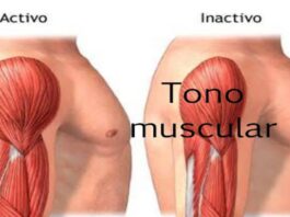 Porque perdemos masa muscular y como podemos ayudar a combatirlo Why we lose muscle mass and how we can help fight it
